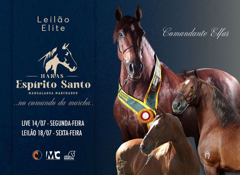 LEILÃO ELITE HARAS ESPIRITO SANTO