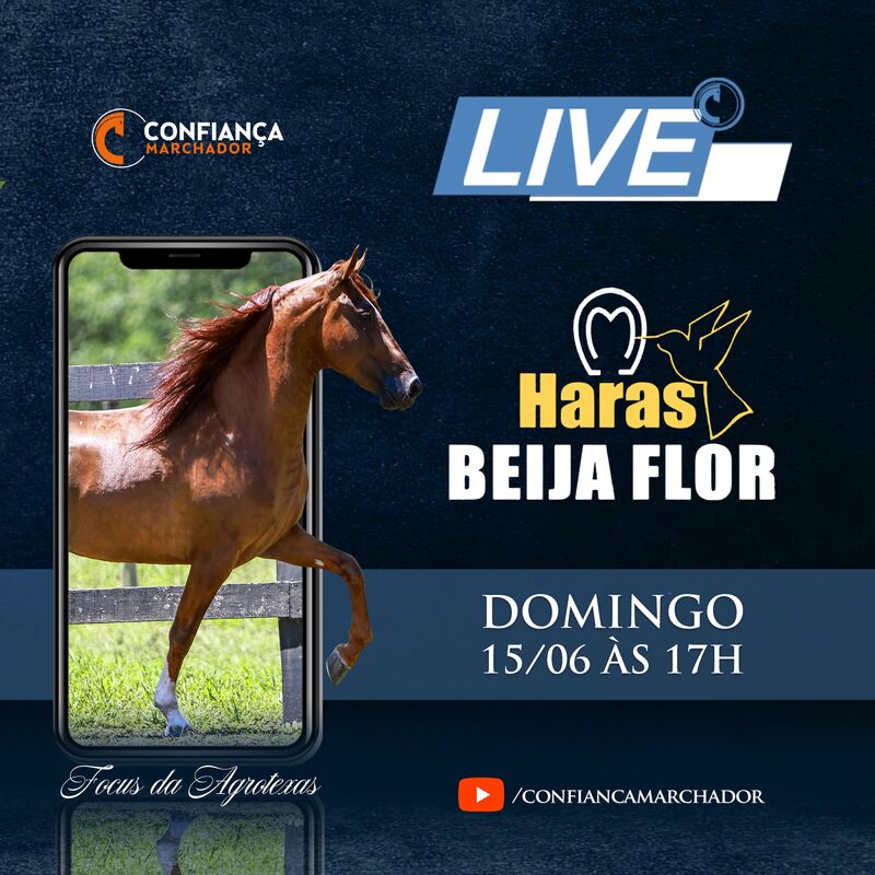 LIVE HARAS BEIJA FLOR