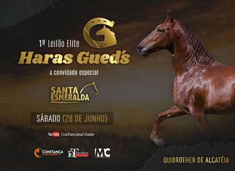 1º LEILÃO ELITE HARAS GUED´S