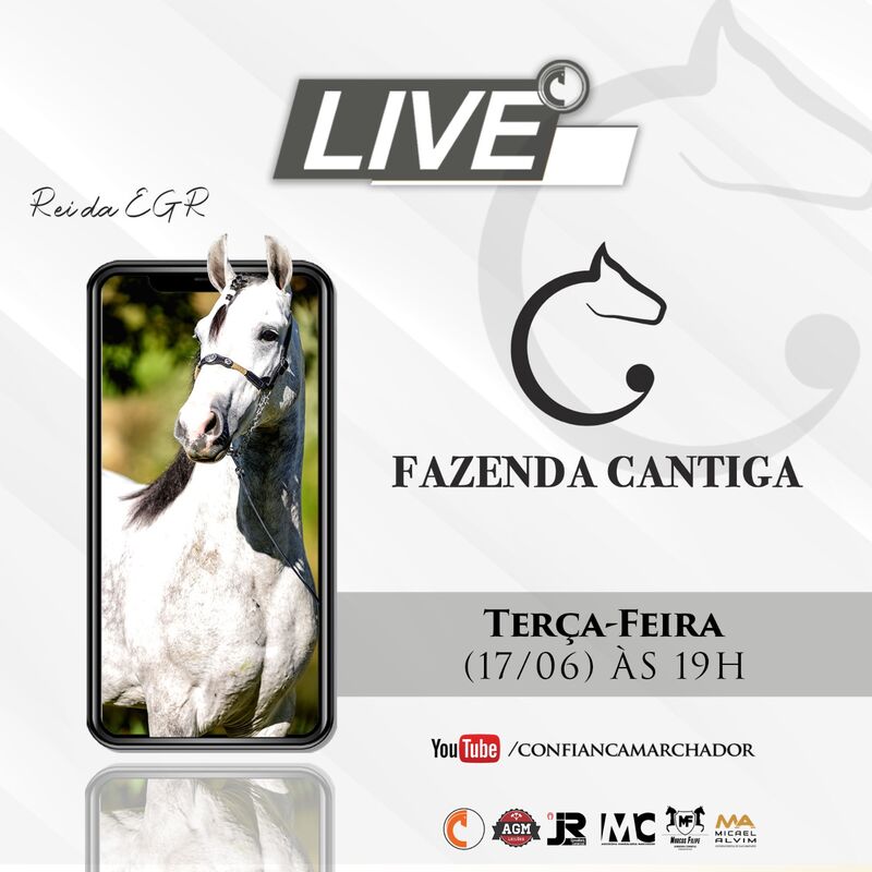 LIVE CANTIGA
