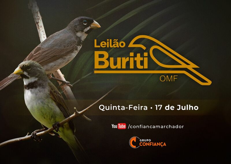 I LEILÃO CRIATÓRIO BURITI
