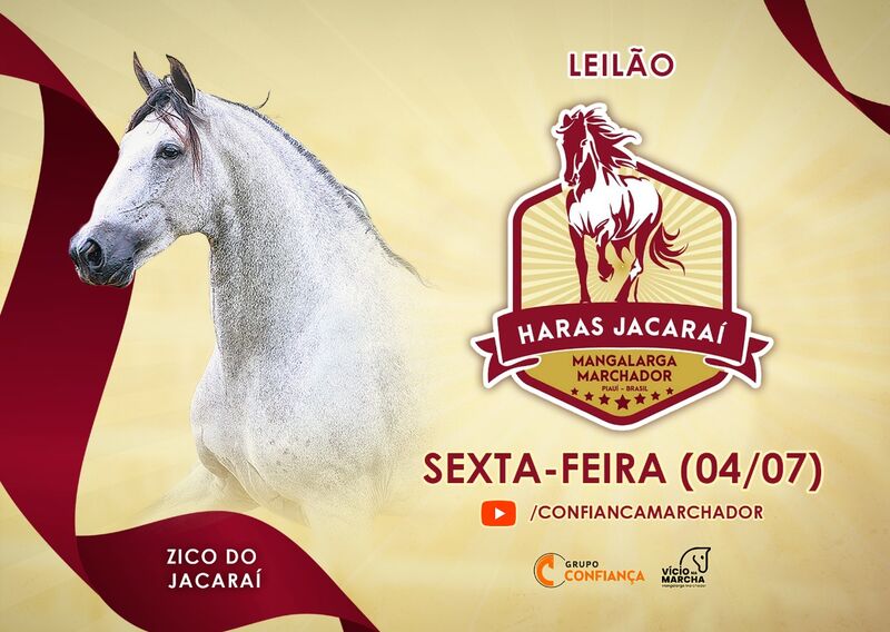 LEILÃO HARAS JACARAÍ