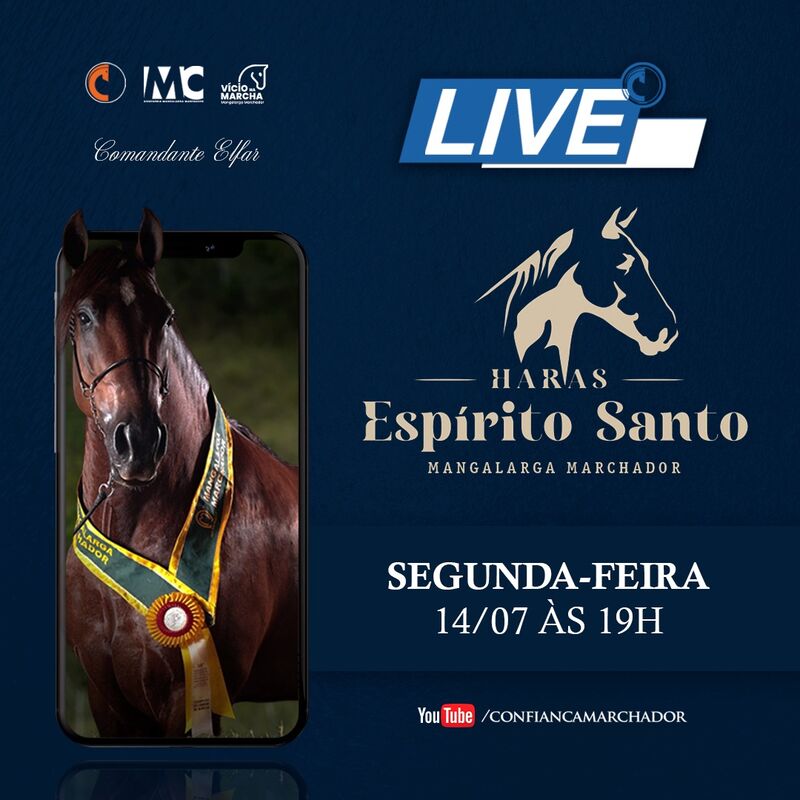 LIVE HARAS ESPIRITO SANTO