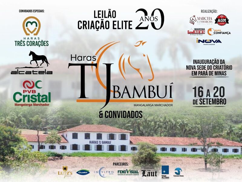 LEILÃO ELITE 20 ANOS HARAS TJ BAMBUÍ & CONVIDADOS