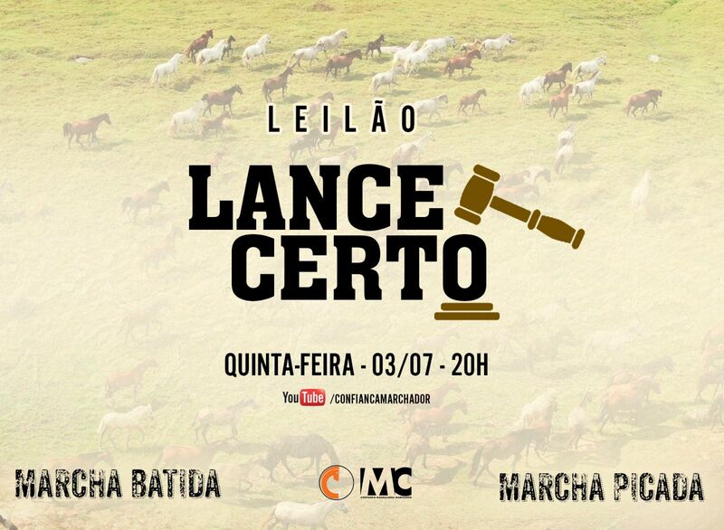 LEILÃO LANCE CERTO