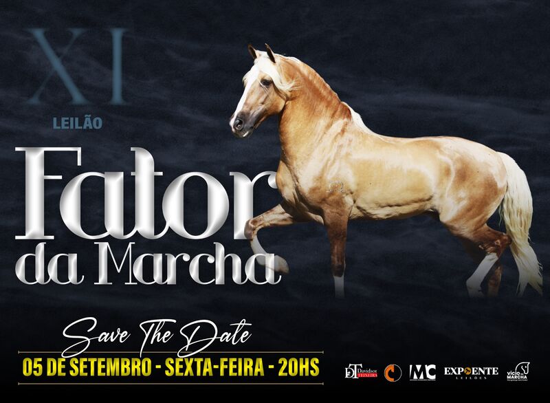 XI LEILÃO FATOR DA MARCHA