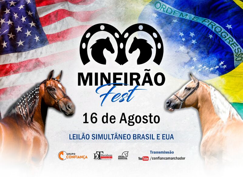 MINEIRÃO FEST