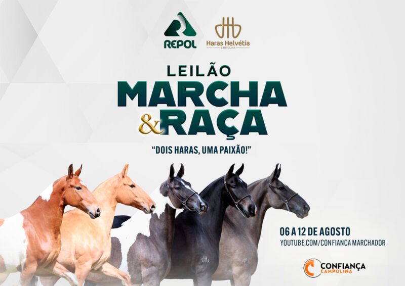 LEILÃO MARCHA E RAÇA - HARAS REPOL E HARAS HELVETIA