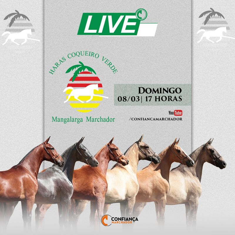 LIVE HARAS COQUEIRO VERDE