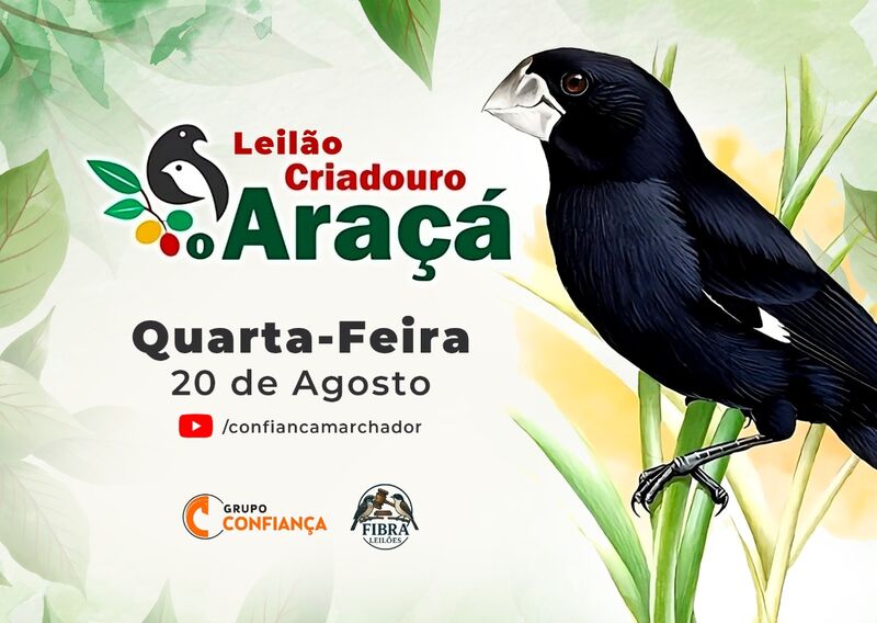 LEILÃO CRIADOURO ARAÇÁ