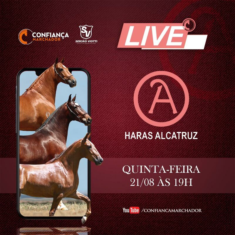 II LIVE HARAS ALCATRUZ
