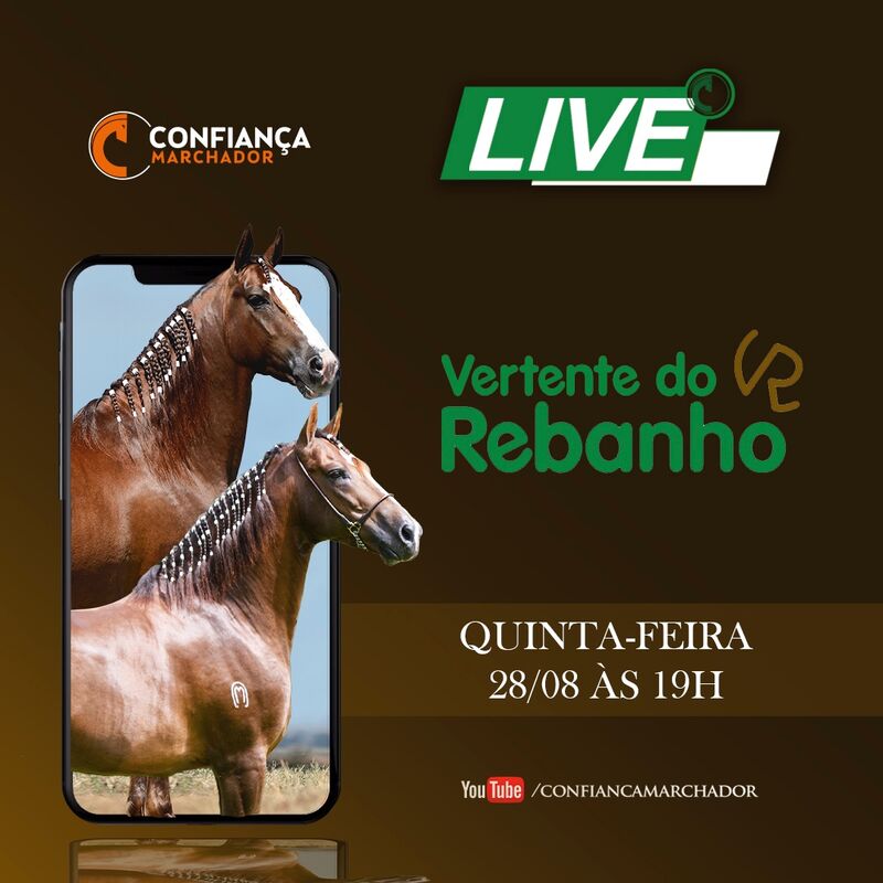 LIVE HARAS VERTENTE DO REBANHO