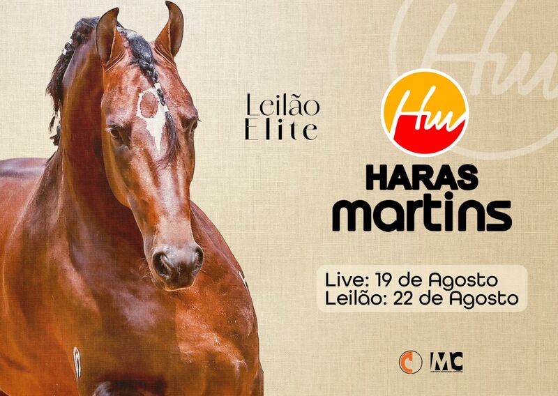 II LEILÃO ELITE HARAS MARTINS
