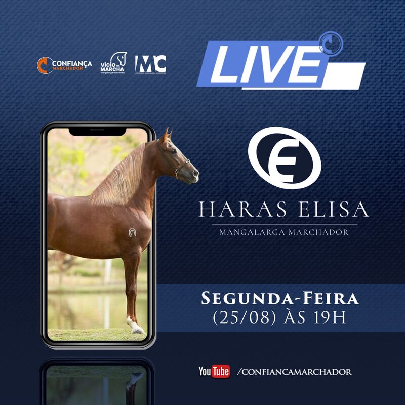LIVE HARAS ELISA