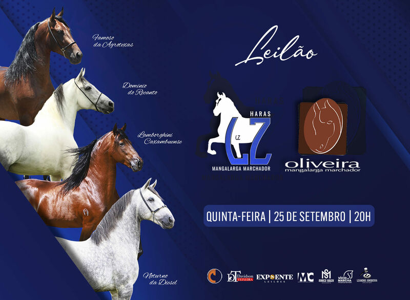 LEILÃO L.Z. E OLIVEIRA