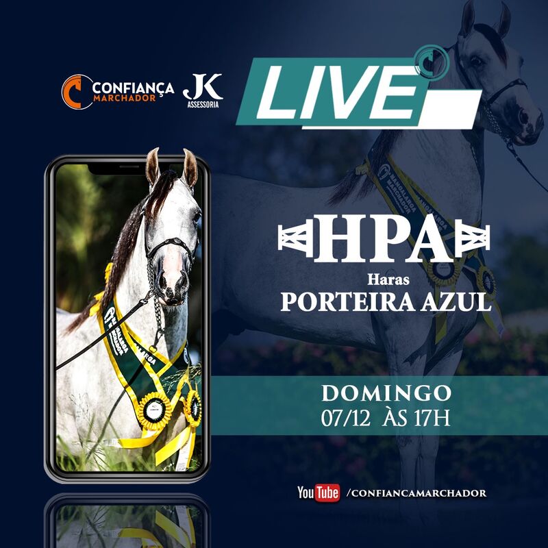 VI LIVE HARAS PORTEIRA AZUL