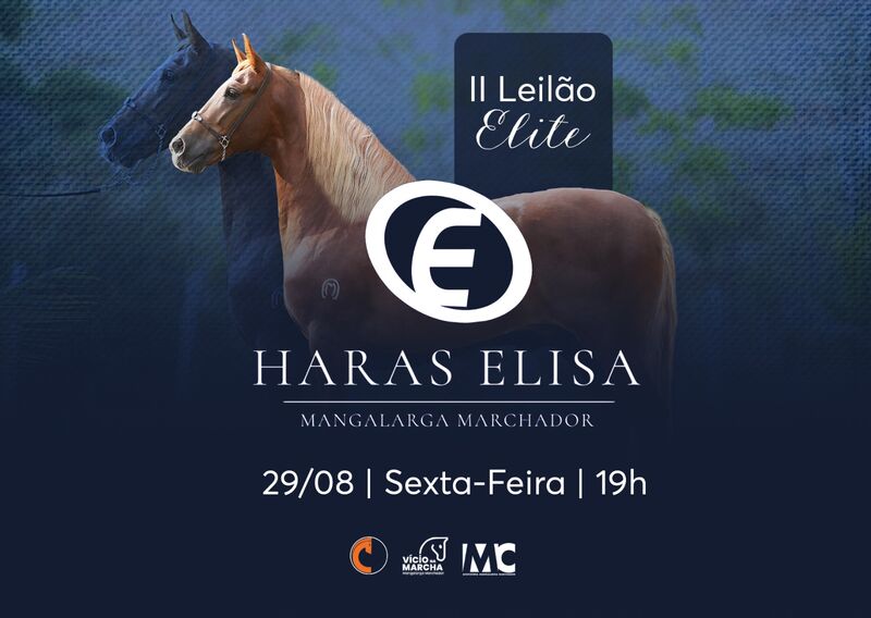 II LEILÃO ELITE HARAS ELISA