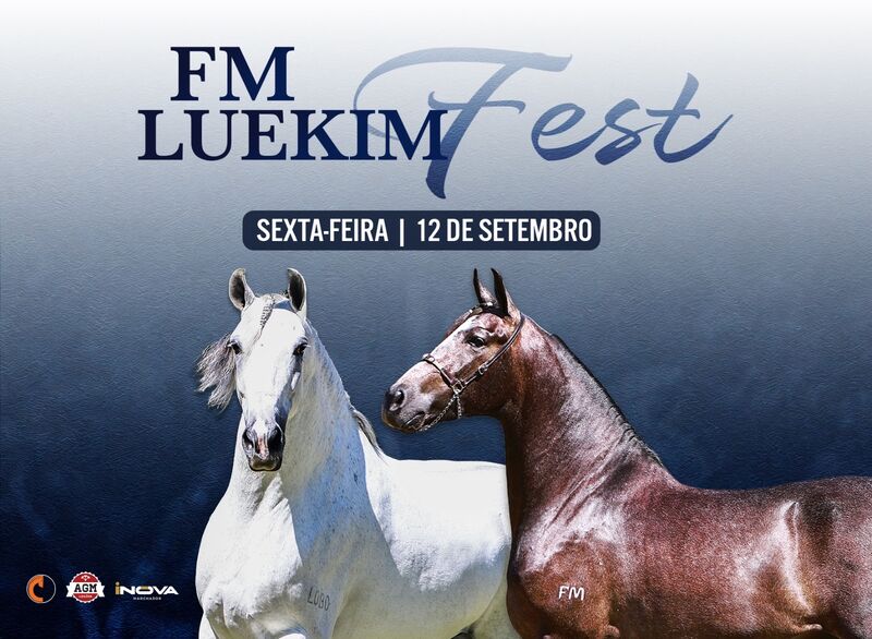 FM LUEKIM FEST