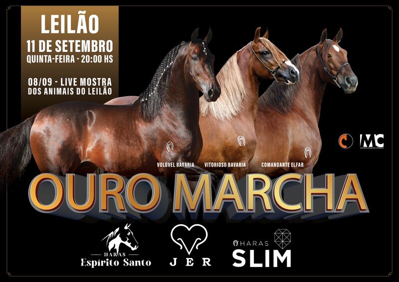 LEILÃO OURO MARCHA