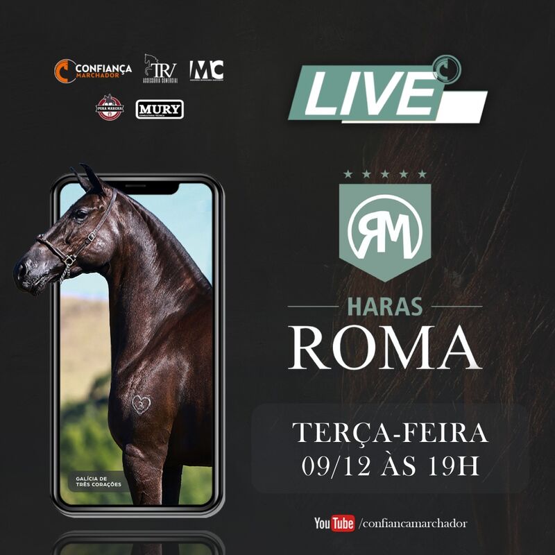 LIVE HARAS ROMA