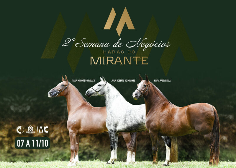 II SEMANA DE NEGÓCIOS HARAS DO MIRANTE