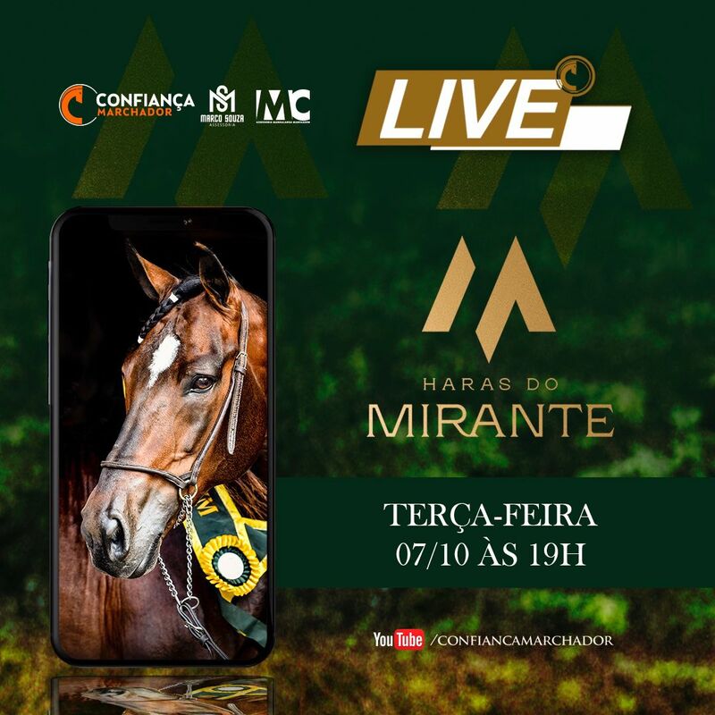 LIVE MIRANTE
