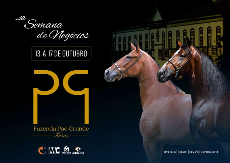 IV SEMANA DE NEGÓCIOS PAO GRANDE