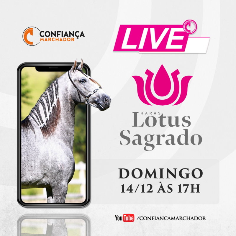 III LIVE LOTUS SAGRADO