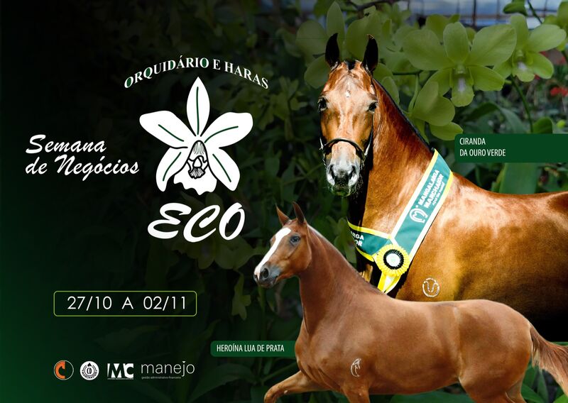 SEMANA DE NEGÓCIOS ORQUIDÁRIO E HARAS ECO