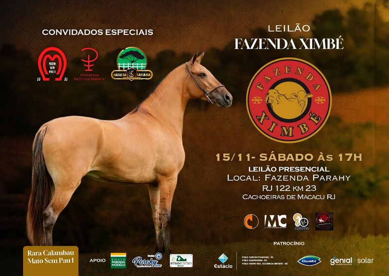 LEILÃO FAZENDA XIMBÉ