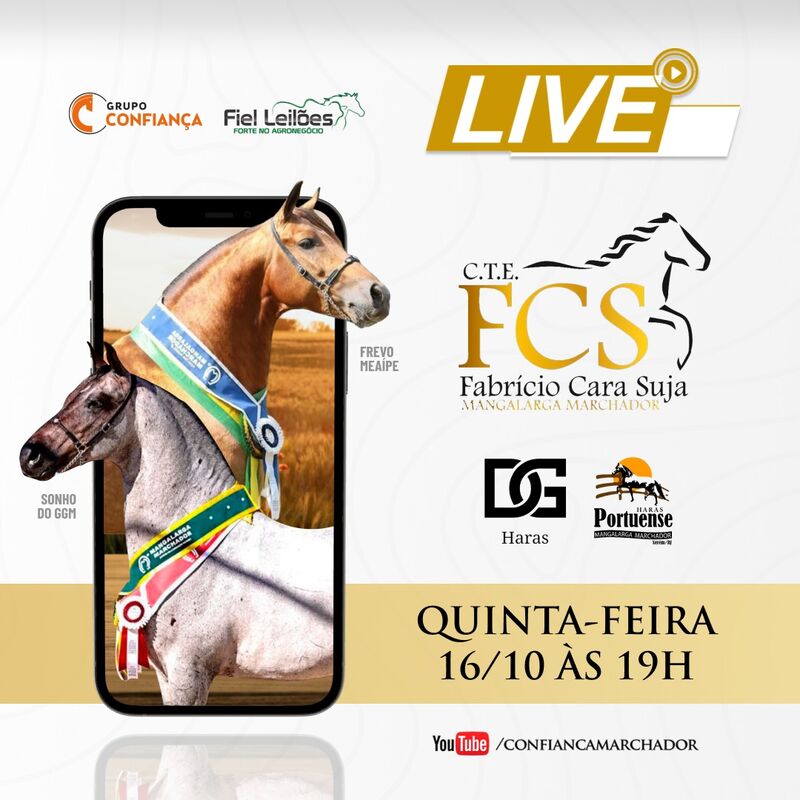 LIVE FCS