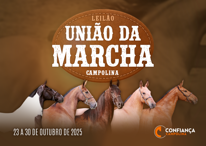 LEILÃO UNIÃO DA MARCHA CAMPOLINA