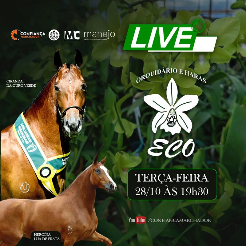 LIVE HARAS ECO