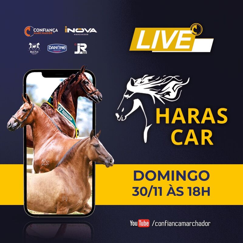 LIVE HARAS CAR