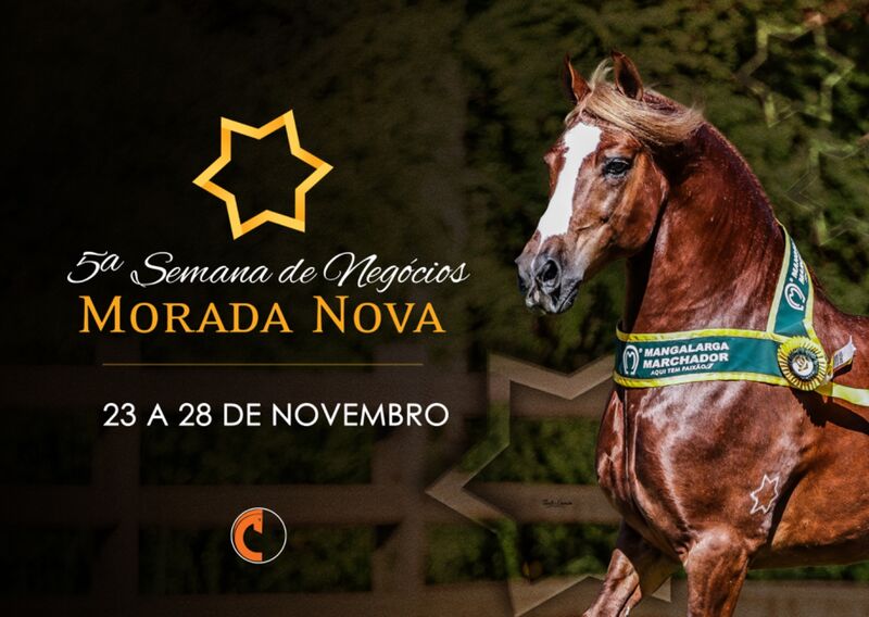 5ª SEMANA DE NEGÓCIOS HARAS MORADA NOVA