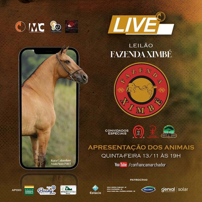 LIVE XIMBE