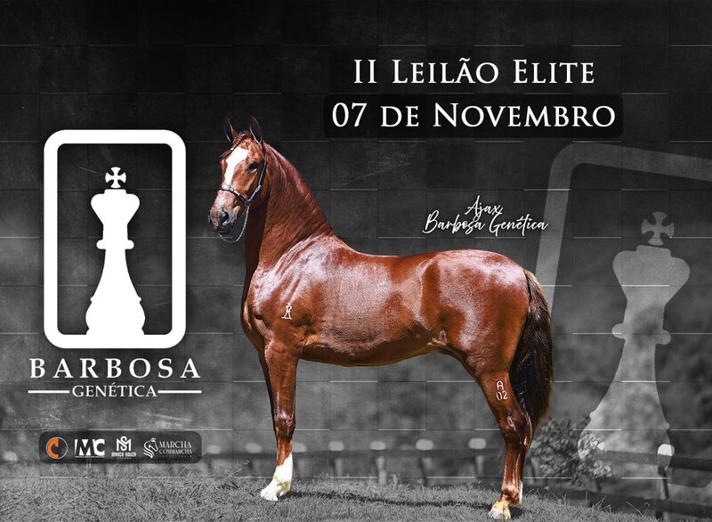 II LEILÃO ELITE BARBOSA GENÉTICA