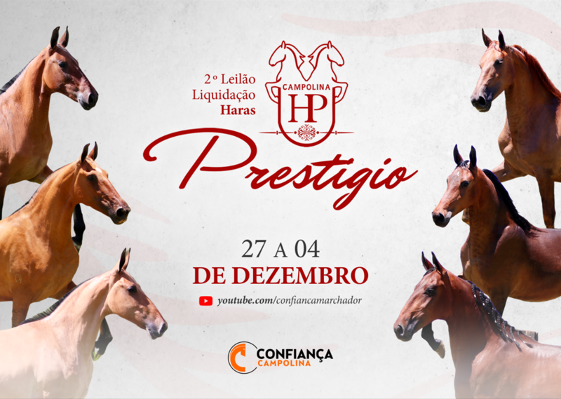 II LEILÃO LIQUIDAÇÃO HARAS PRESTIGIO