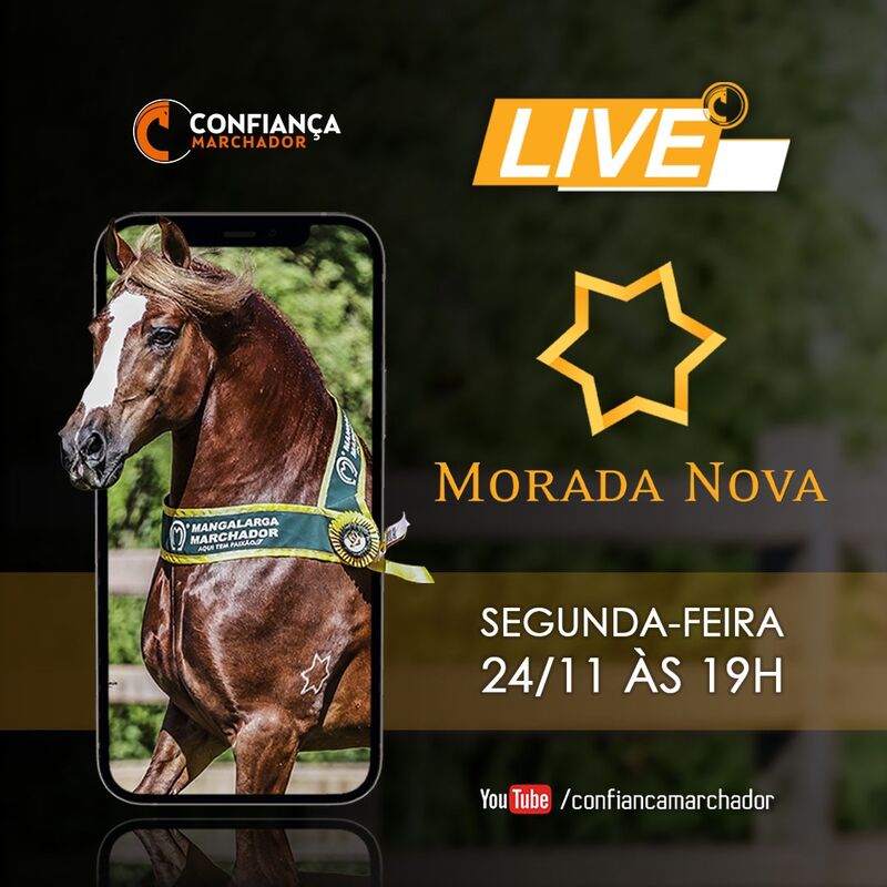 LIVE MORADA NOVA