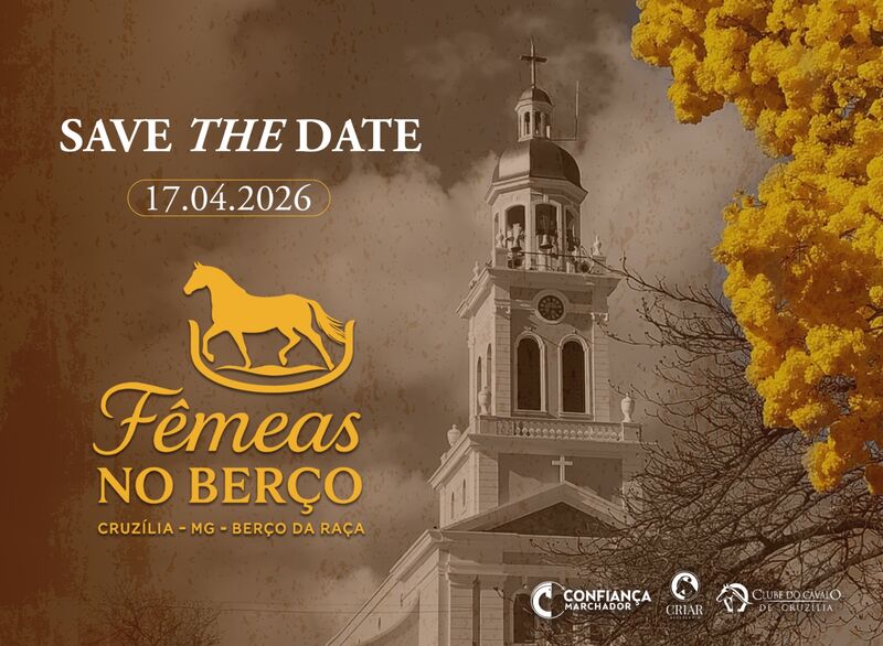 LEILÃO FÊMEAS DO BERÇO