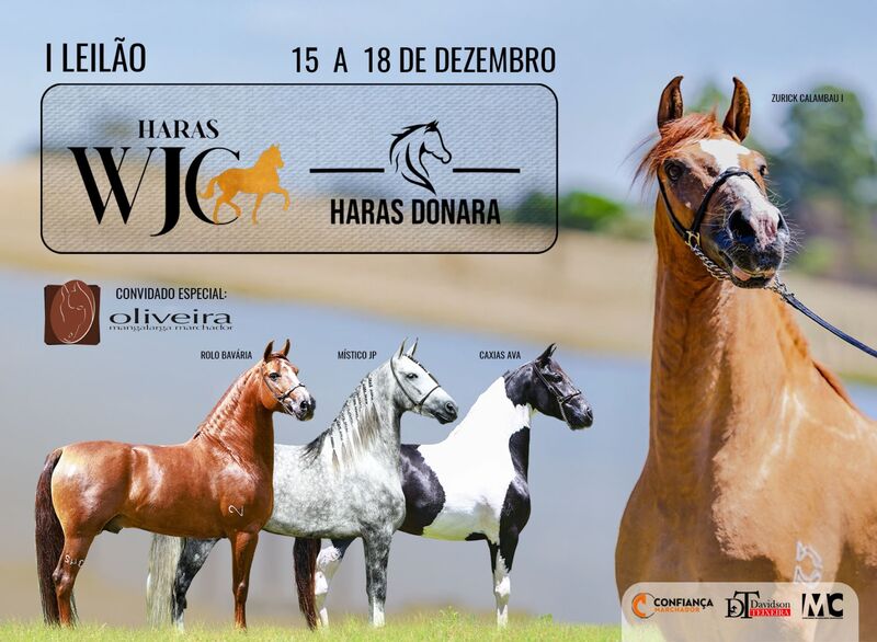 I LEILÃO HARAS WJC E HARAS DONARA & CONVIDADO ESPECIAL OLIVEIRA