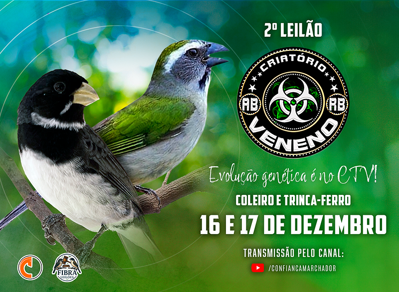 2º LEILÃO CRIATÓRIO VENENO - TRINCA FERRO E COLEIRO