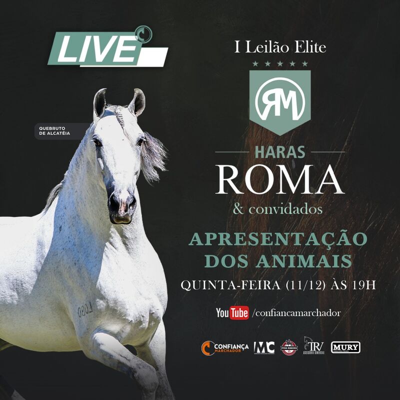 LIVE DE APRESENTAÇÃO DOS ANIMAIS HARAS ROMA & CONVIDADOS