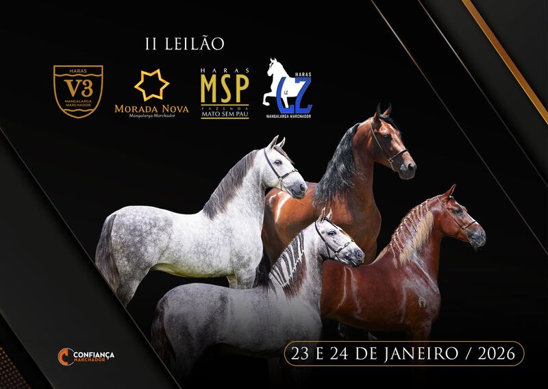 2º LEILÃO HARAS V3, MORADA NOVA, MSP E L.Z