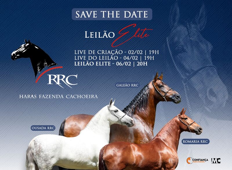 LEILÃO ELITE HARAS RRC