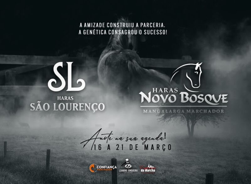 LEILÃO HARAS SÃO LOURENÇO E HARAS NOVO BOSQUE