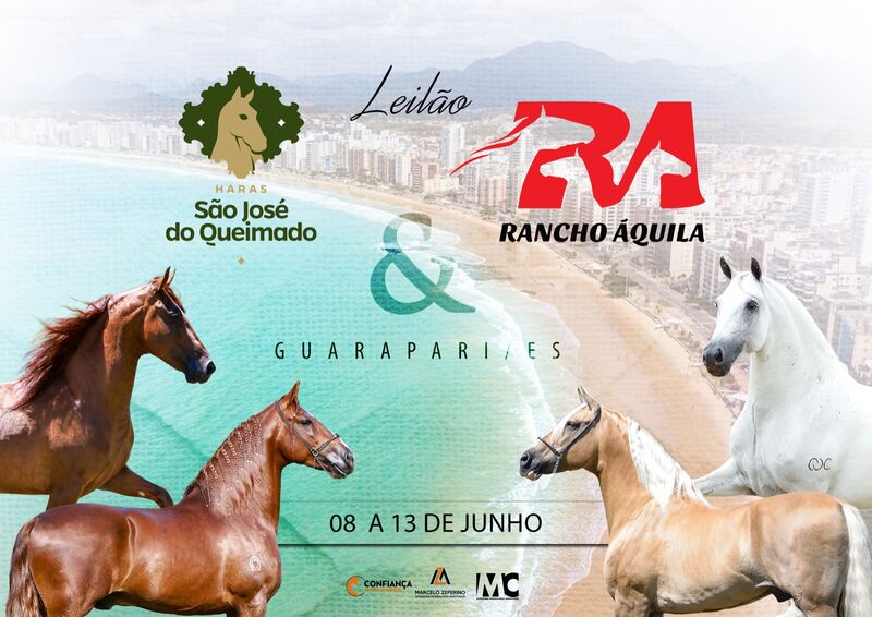 LEILÃO HARAS SÃO JOSÉ DO QUEIMADO & RANCHO ÁQUILA