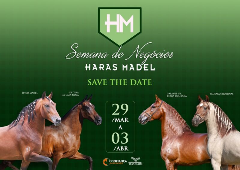 SEMANA DE NEGOCIOS HARAS MADEL