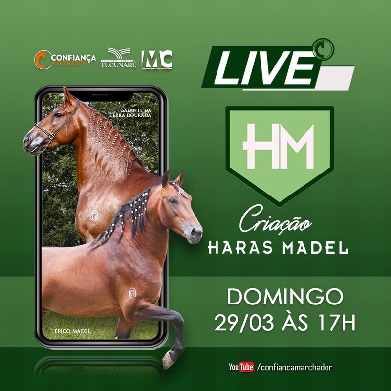 LIVE CRIAÇÃO HARAS MADEL