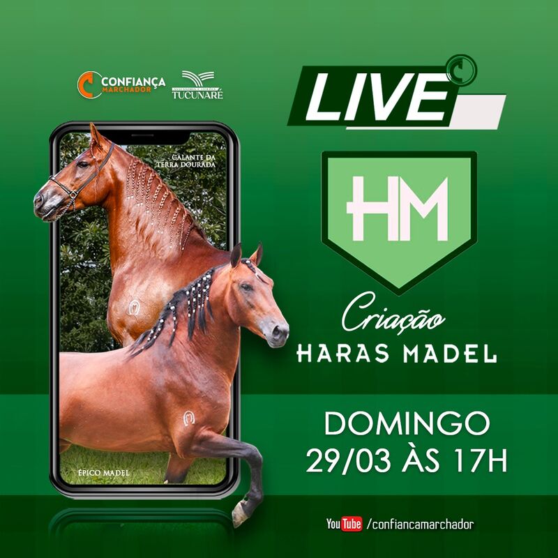 LIVE CRIAÇÃO HARAS MADEL